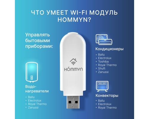 Модуль съемный управляющий HOMMYN HDN/WFN-02-01